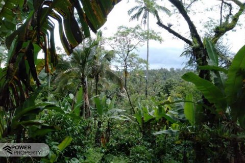 Tanah kavling 6200m2 di Tabanan, Bali (8761) 4
