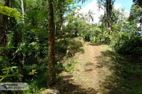 Tanah kavling 6200m2 di Tabanan, Bali (8761) 7