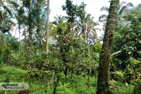 Tanah kavling 6200m2 di Tabanan, Bali (8761) 5