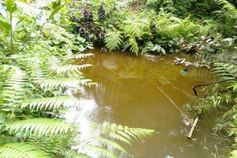 Tanah kavling 6200m2 di Tabanan, Bali (8761) 12