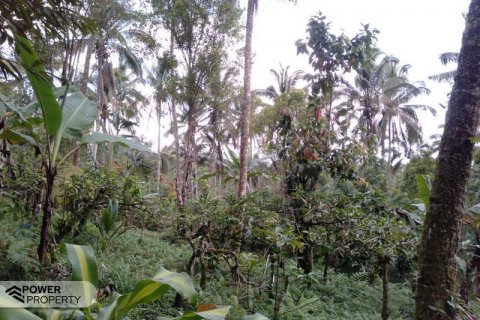 Tanah kavling 6200m2 di Tabanan, Bali (8761) 6