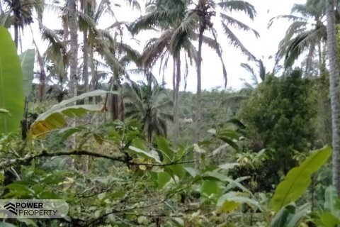 Tanah kavling 6200m2 di Tabanan, Bali (8761) 9