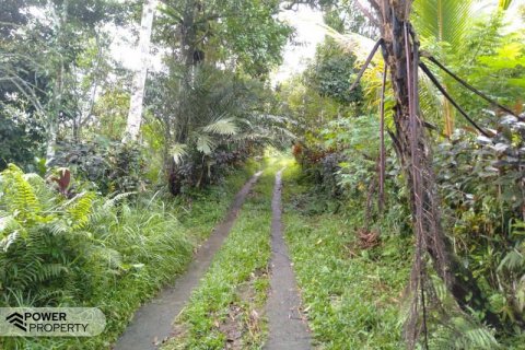 Tanah kavling 6200m2 di Tabanan, Bali (8761) 11