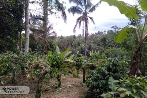 Tanah kavling 6200m2 di Tabanan, Bali (8761) 3