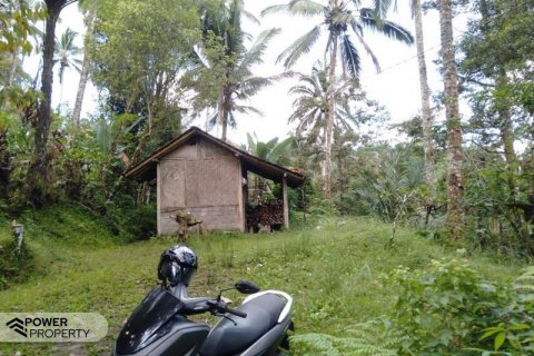 Tanah kavling 6200m2 di Tabanan, Bali (8761) 8