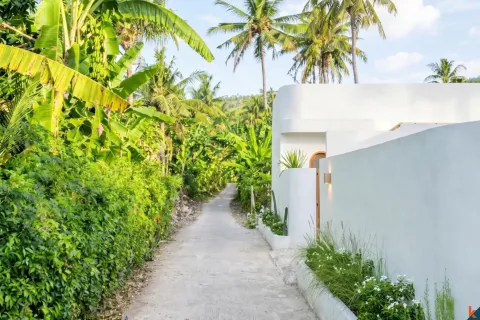 3 bedrooms Villa in Lovina, Anturan, Buleleng, Bali (10729) 5