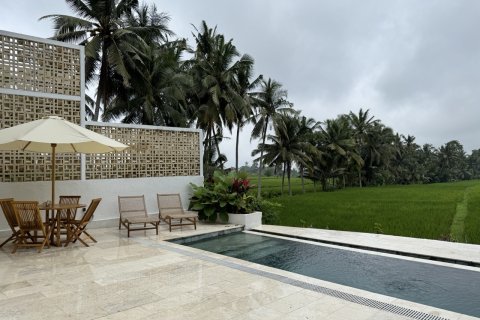 Vila 134m2 di Ubud, Gianyar, Bali (10623) 2