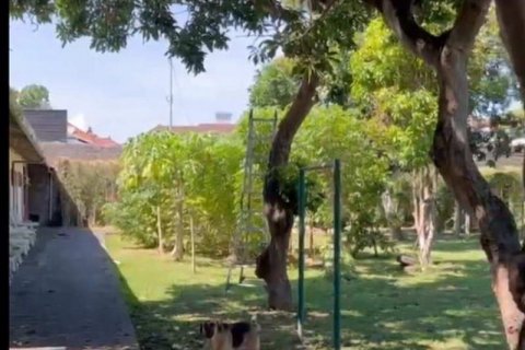 4870m2 Land in South Denpasar, Denpasar, Bali (5753) 4