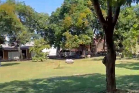 Tanah kavling 4870m2 di Denpasar Selatan, Denpasar, Bali (5753)