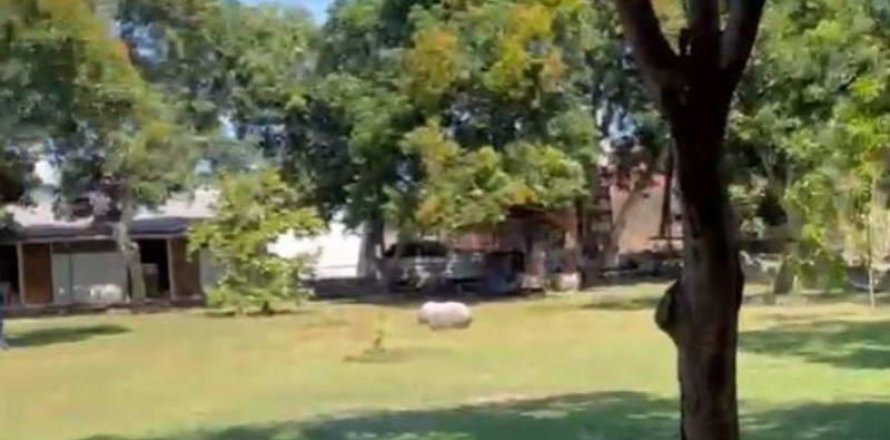 4870m2 Land in South Denpasar, Denpasar, Bali (5753)