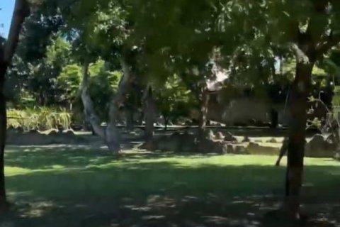 4870m2 Land in South Denpasar, Denpasar, Bali (5753) 2