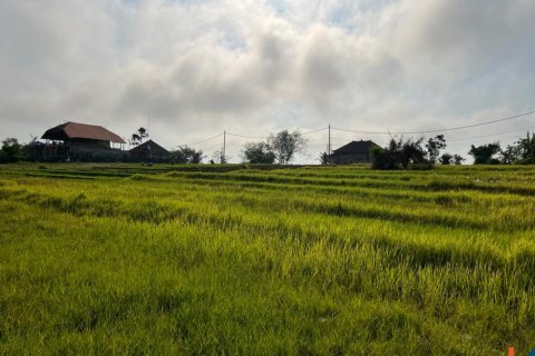 Land in Mengwi, Badung, Bali (11252) 6