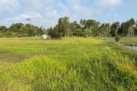 Land in Mengwi, Badung, Bali (11252) 4