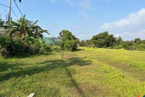 Tanah kavling di Mengwi, Badung, Bali (11252)