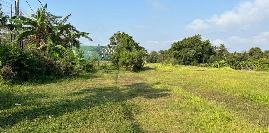Land in Mengwi, Badung, Bali (11252)