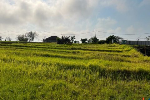 Land in Mengwi, Badung, Bali (11252) 3
