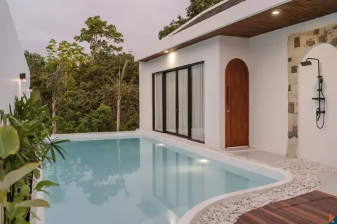 2 bedrooms Villa in South Kuta, Badung, Bali (11254) 2