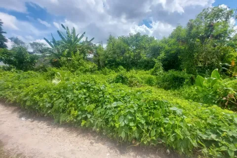 Land in Tumbak Bayuh, Mengwi, Badung, Bali (11155) 7