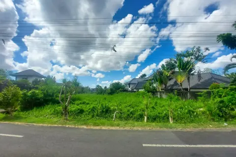 Land in Tumbak Bayuh, Mengwi, Badung, Bali (11155) 5