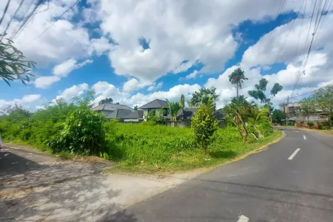 Land in Tumbak Bayuh, Mengwi, Badung, Bali (11155) 8