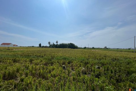 Land in Munggu, Mengwi, Badung, Bali (11965) 3