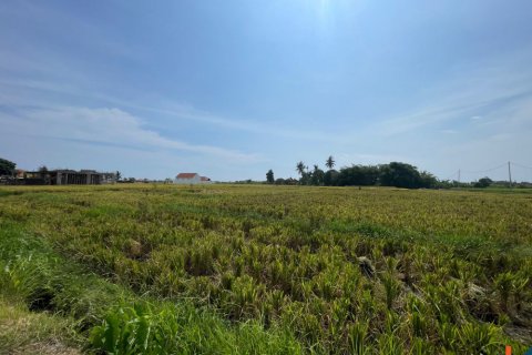 Land in Munggu, Mengwi, Badung, Bali (11965) 2