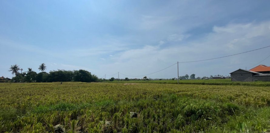 Land in Munggu, Mengwi, Badung, Bali (11965)