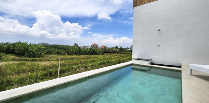 2 bedrooms Villa in Tumbak Bayuh, Mengwi, Badung, Bali (11964)