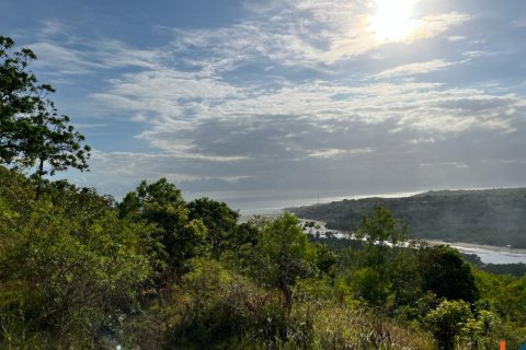 Land in Klungkung, Bali (11968) 7