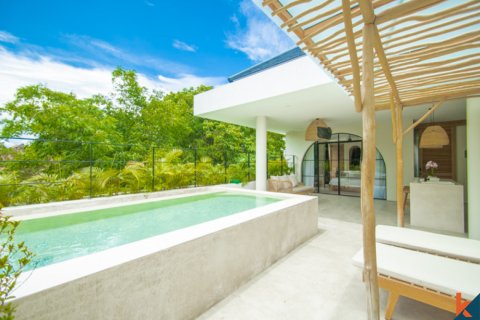 6 bedrooms Villa in Badung, Bali (11966) 3