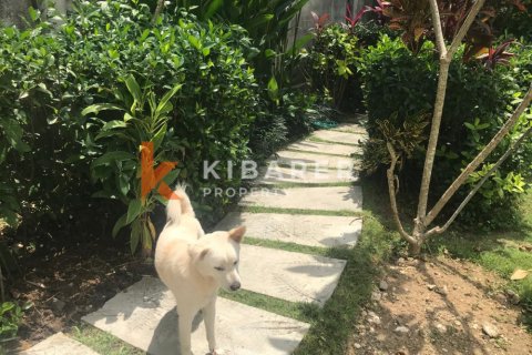 3 bedrooms Villa in Tumbak Bayuh, Mengwi, Badung, Bali (13609) 5