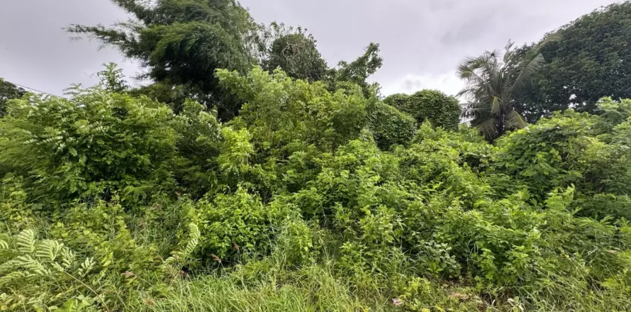 Land in Kuta, Badung, Bali (11570)