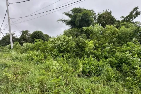 Land in Kuta, Badung, Bali (11570) 4