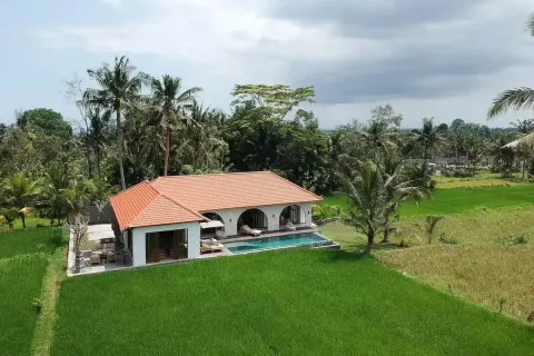 Vila 3 kamar tidur di Ubud, Gianyar, Bali (11575)