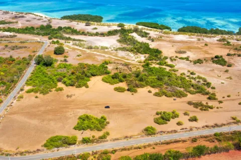 Land in Bali (11574) 2