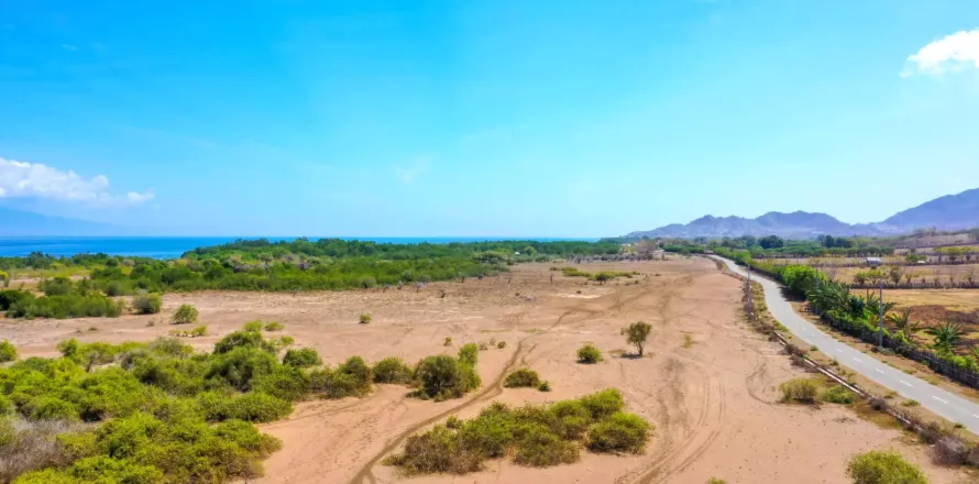 Land in Bali (11574)