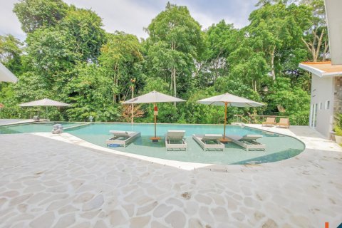 4 bedrooms Villa in Badung, Bali (11646) 7