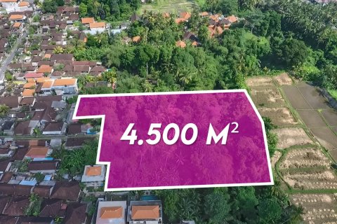 Tanah kavling 4500m2 di Ubud, Gianyar, Bali (14012)