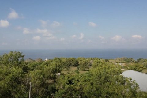 Tanah kavling 2500m2 di Kuta Selatan, Badung, Bali (14014) 8
