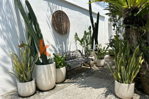 2 bedrooms Villa in Kerobokan, Badung, Bali (12969) 5