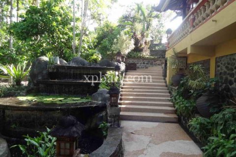 32 bedrooms Villa in Gianyar, Bali (941) 2