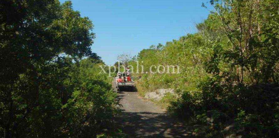3850m2 Land in Nusa Penida, Klungkung, Bali (937)