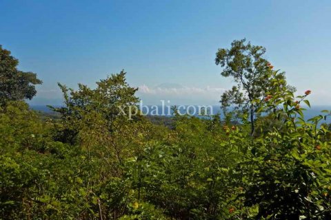 3850m2 Land in Nusa Penida, Klungkung, Bali (937) 3