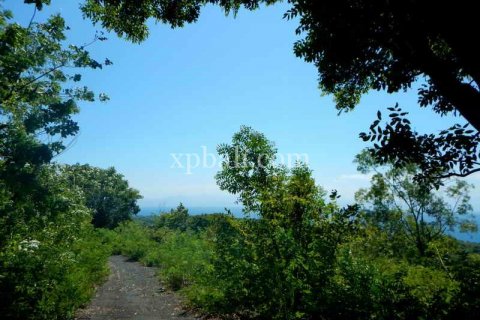 3850m2 Land in Nusa Penida, Klungkung, Bali (937) 9