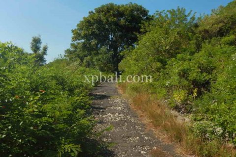 3850m2 Land in Nusa Penida, Klungkung, Bali (937) 4