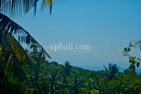 3850m2 Land in Nusa Penida, Klungkung, Bali (937) 7