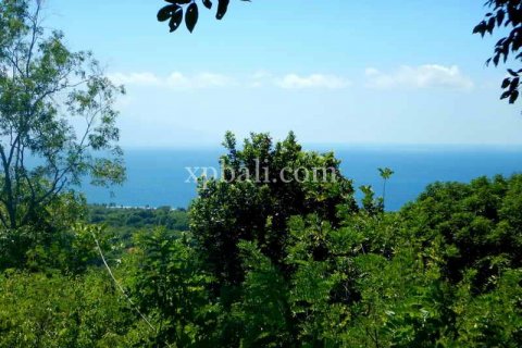 3850m2 Land in Nusa Penida, Klungkung, Bali (937) 8