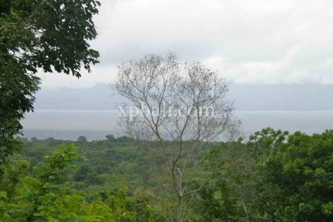 3850m2 Land in Nusa Penida, Klungkung, Bali (937) 5