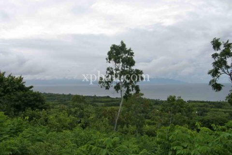 3850m2 Land in Nusa Penida, Klungkung, Bali (937) 6