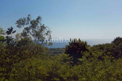 3850m2 Land in Nusa Penida, Klungkung, Bali (937) 2